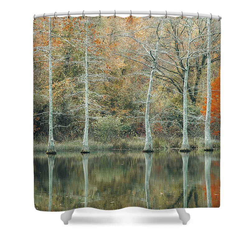 Tree Shower Curtain featuring the photograph Just One Red tree by Iris Greenwell
