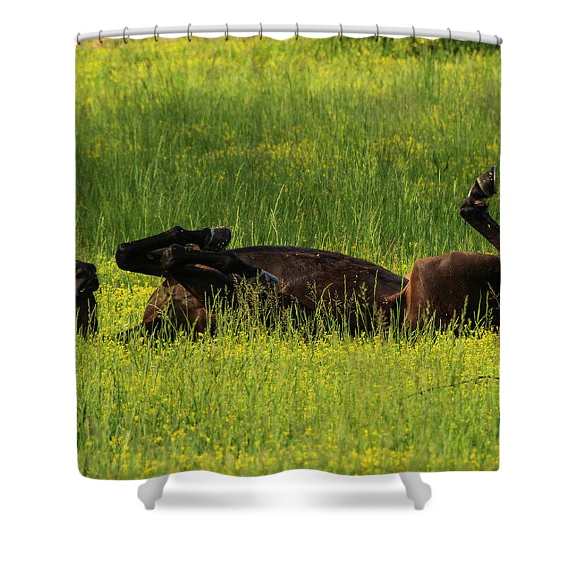 Great Smoky Mountains National Park Shower Curtain featuring the photograph Kick Up Your Feet by Melissa Southern