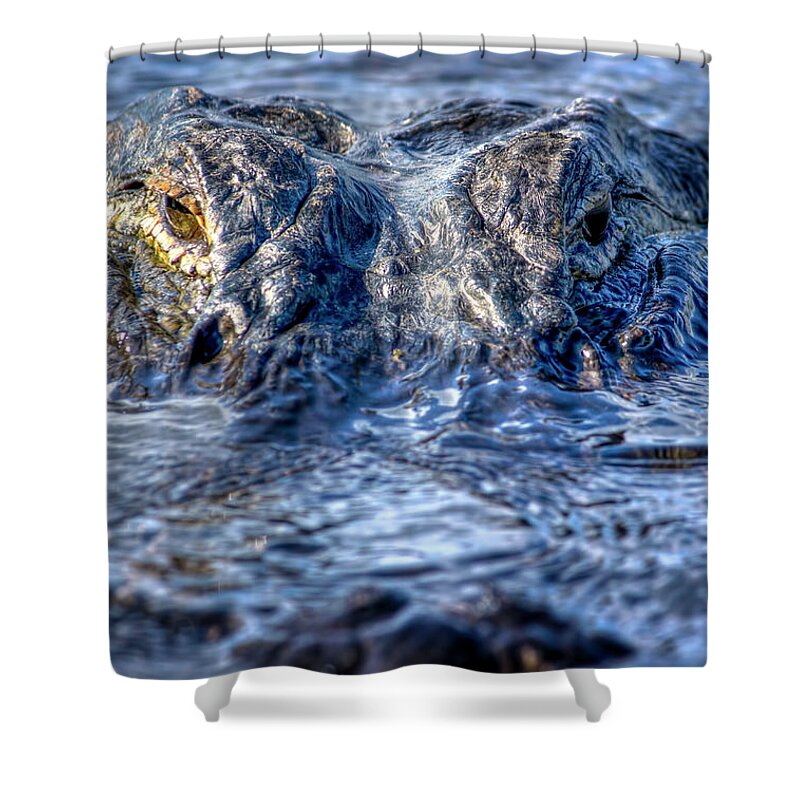Alligator Shower Curtain featuring the photograph Killer Instinct by Mark Andrew Thomas