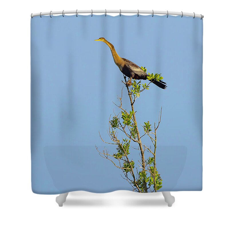 R5-2630 Shower Curtain featuring the photograph King of the Marsh by Gordon Elwell