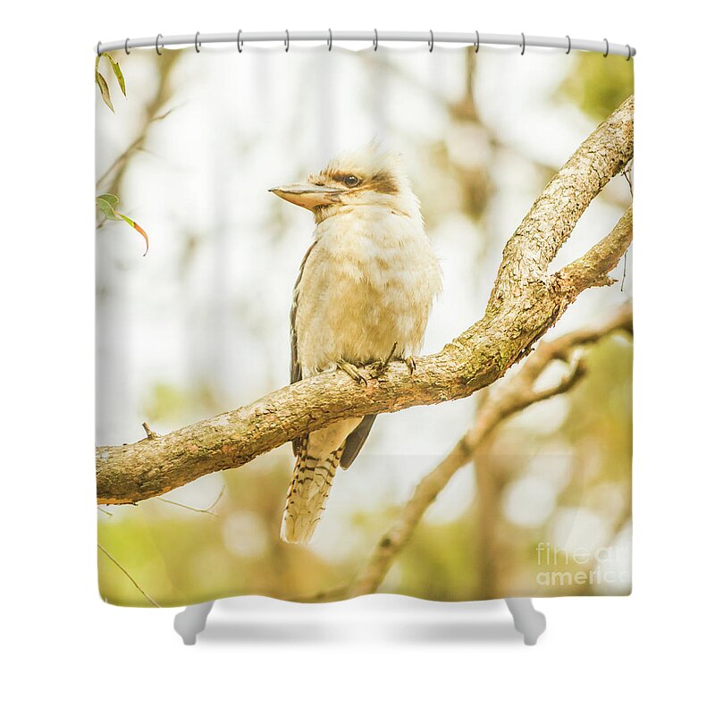 Animal Shower Curtain featuring the photograph Kingfisher views by Jorgo Photography