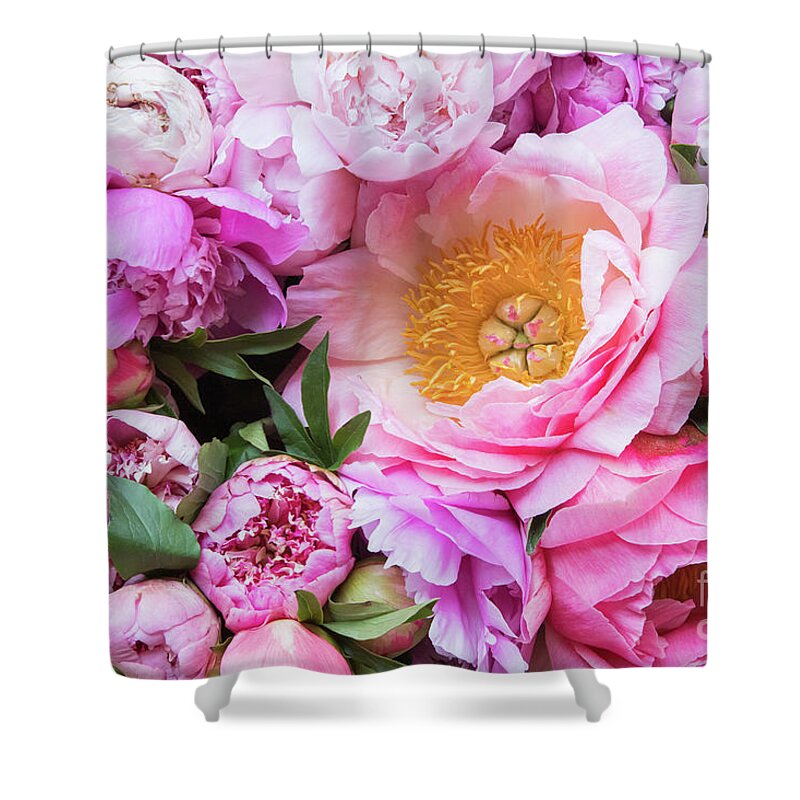 Peonies Shower Curtain featuring the photograph Kissed by Spring by Marilyn Cornwell
