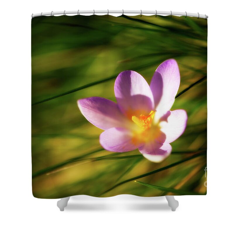 Botanical Shower Curtain featuring the photograph Kissing the Sun by Venetta Archer