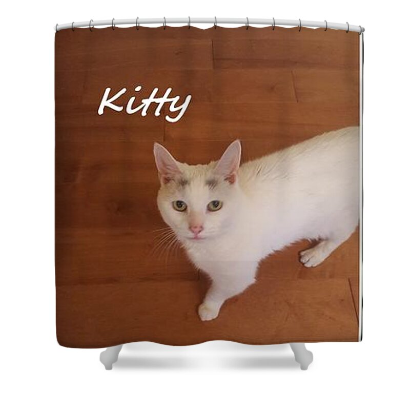 Cats Shower Curtain featuring the photograph Kitty by Diane Strain