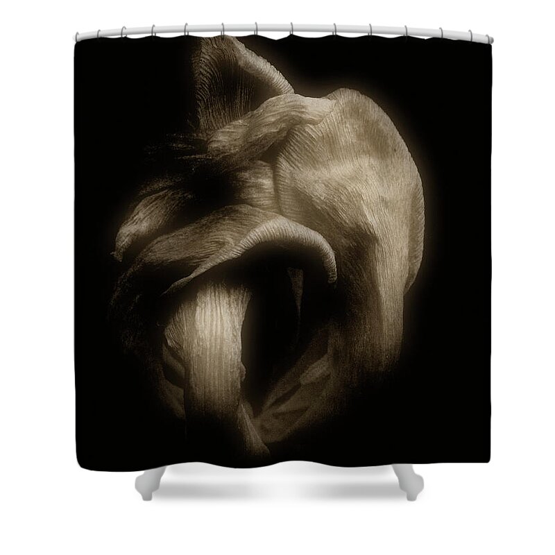 Tulip Shower Curtain featuring the photograph Knot by Cynthia Dickinson