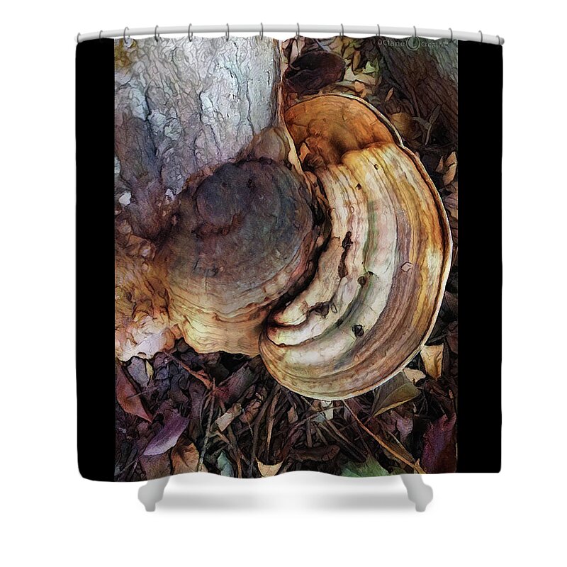 Photo Shower Curtain featuring the photograph Rings Of Fungi by Tim Nyberg