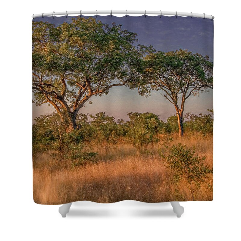 Kruger National Park Shower Curtain featuring the photograph Kruger National Park Landscape by Marcy Wielfaert