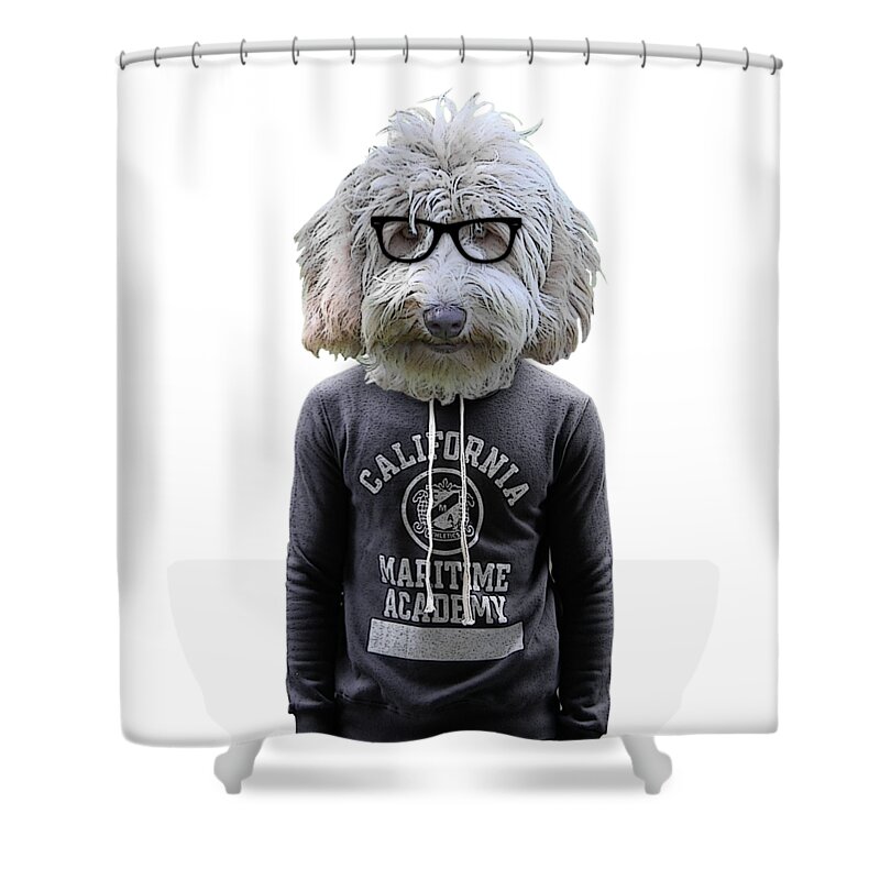 Labradoodle Shower Curtain featuring the digital art Labradoodle hipster by Madame Memento
