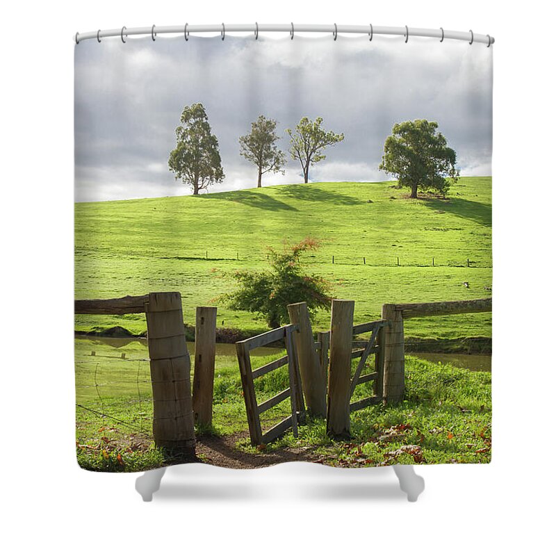 Park Shower Curtain featuring the photograph Lake at the Tree Park by Elaine Teague