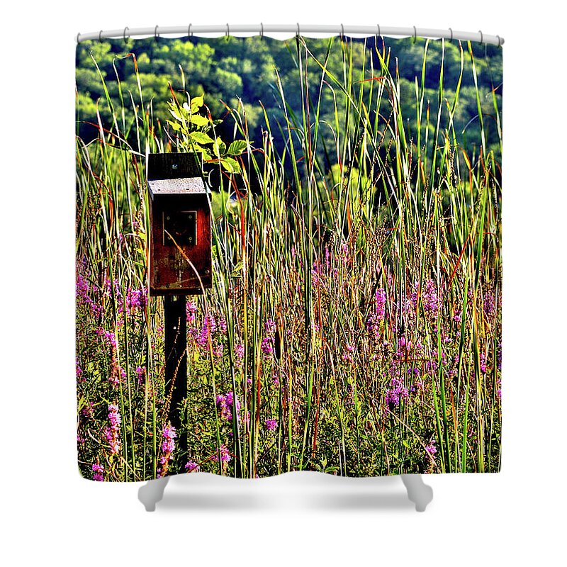 Lake Winona Shower Curtain featuring the photograph Lake Home by Susie Loechler
