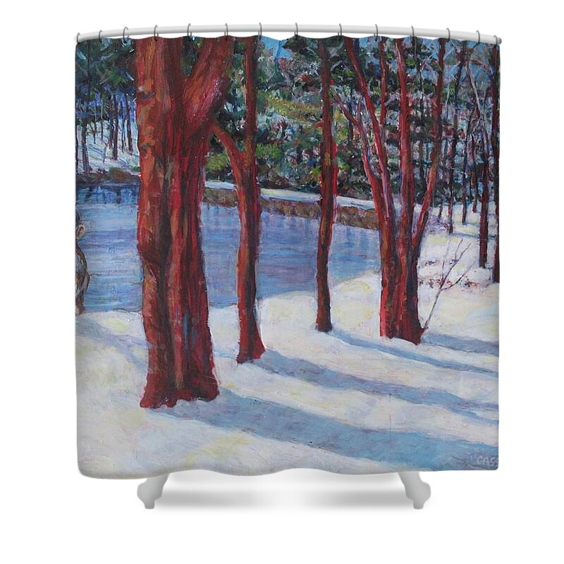 Snow Scene Shower Curtain featuring the painting Lake Of Ice by Veronica Cassell vaz