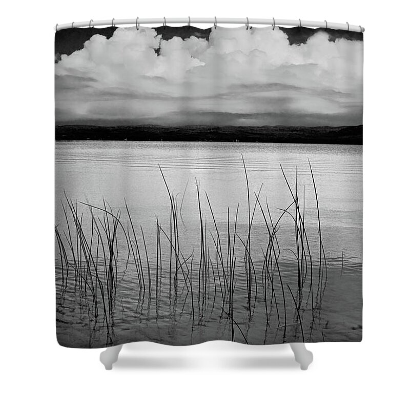 Lake Shower Curtain featuring the photograph Lake Reeds in the Shallows by Randall Nyhof