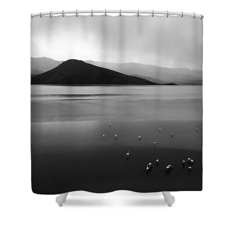 Bolivia Shower Curtain featuring the photograph Lake Saquewa and Flamingos Under Stormy Skies Bolivia by James Brunker