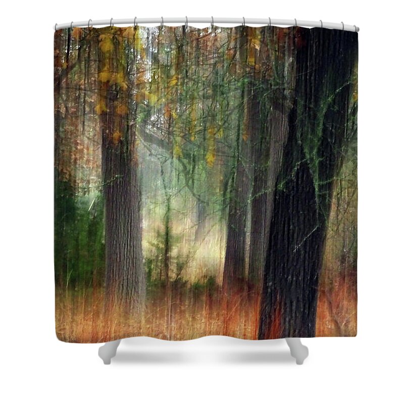 Abstract Expessionist Shower Curtain featuring the photograph Last Dance of Fall by Bill Morgenstern