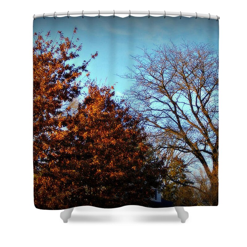 Nature Shower Curtain featuring the photograph Late Autumn Golden Hour - Soft by Frank J Casella