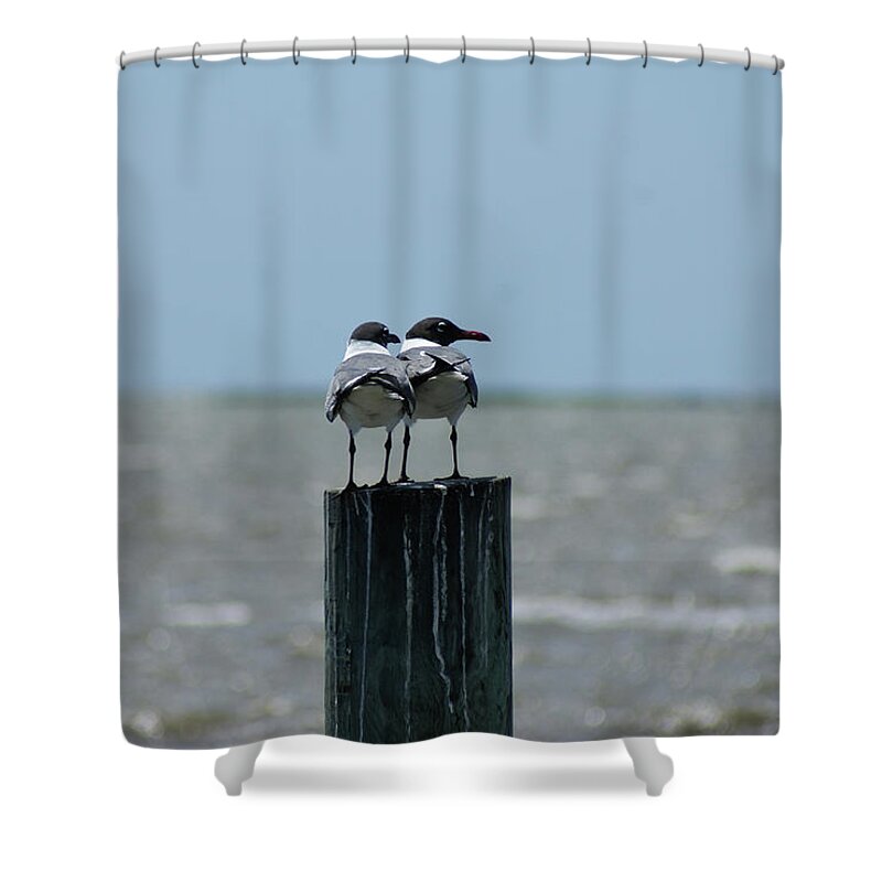  Shower Curtain featuring the photograph Laughing Pair by Heather E Harman