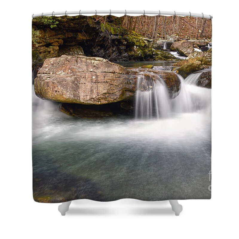 Laurel Falls Shower Curtain featuring the photograph Laurel Snow Trail To Laurel Falls 2 by Phil Perkins