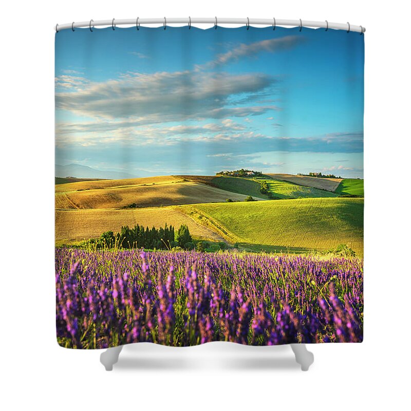 Lavender Shower Curtain featuring the photograph Lavender in Tuscany by Stefano Orazzini