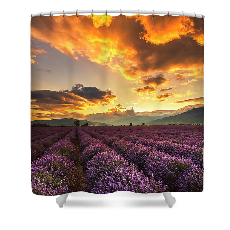 Bulgaria Shower Curtain featuring the photograph Lavender Sun by Evgeni Dinev