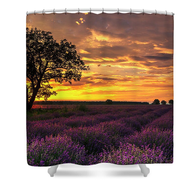 Bulgaria Shower Curtain featuring the photograph Lavender Sunrise by Evgeni Dinev