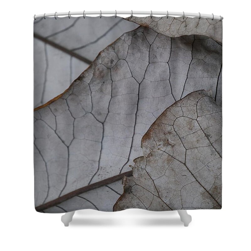 Jane Ford Shower Curtain featuring the photograph Layersof Leaves by Jane Ford