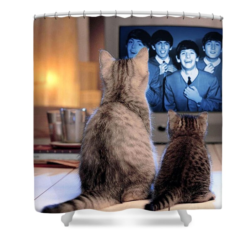 Cats Shower Curtain featuring the mixed media Lazy Cat Afternoon With The Beatles by Teresa Trotter