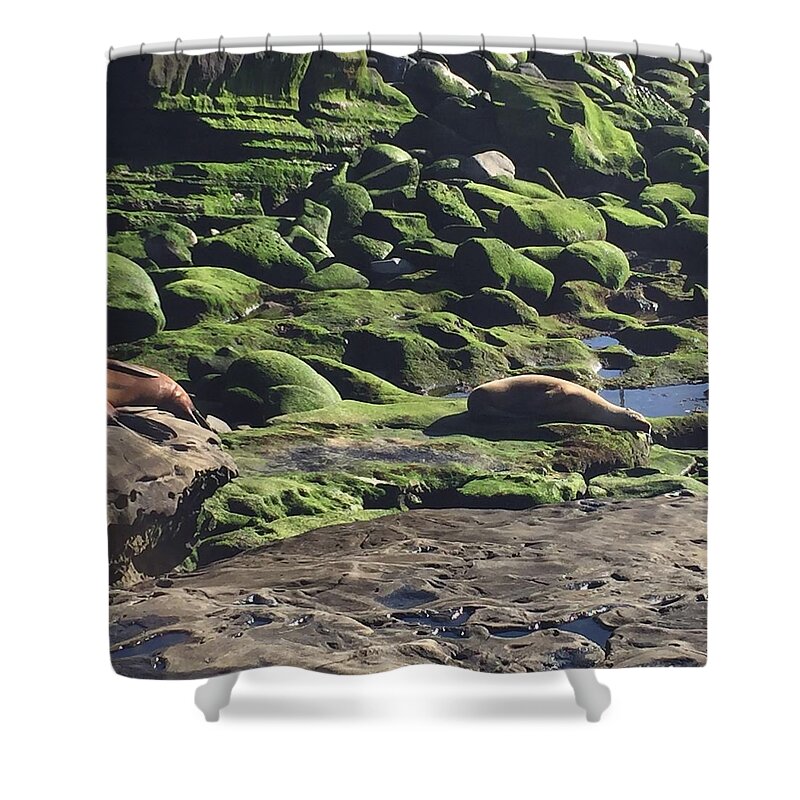 Photography Shower Curtain featuring the photograph Lazy Day at Seal Beach by Lisa White