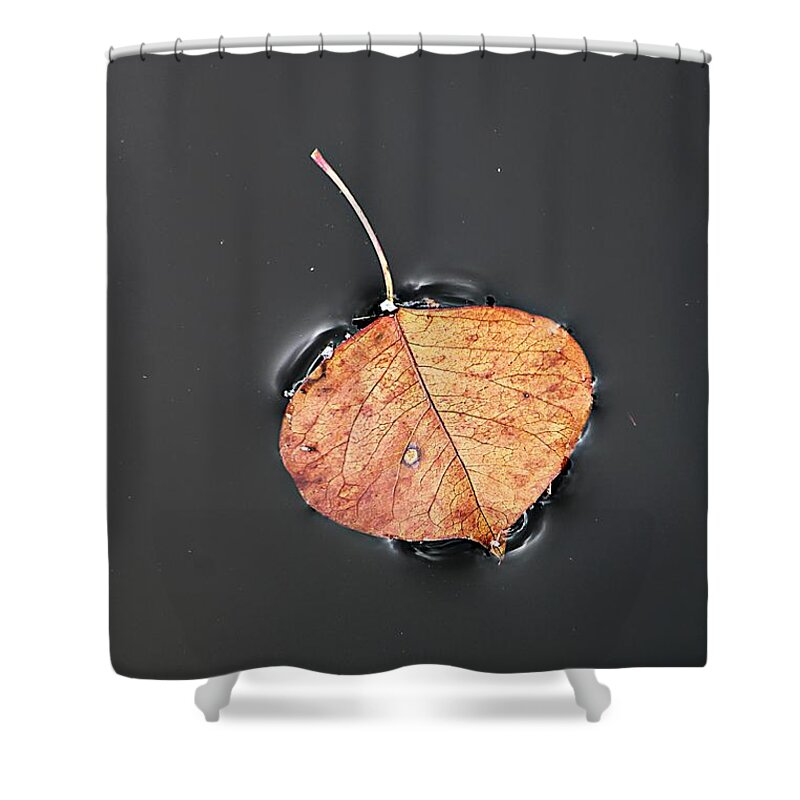  Shower Curtain featuring the photograph Leaf of Distinction by Elizabeth Harllee