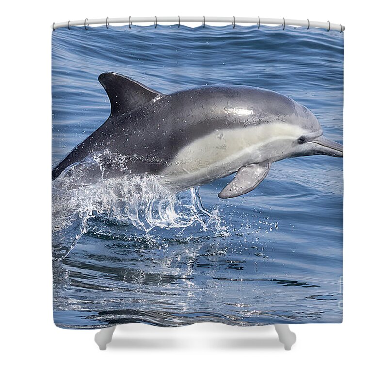 Danawharf Shower Curtain featuring the photograph Leaping Dolphin by Loriannah Hespe
