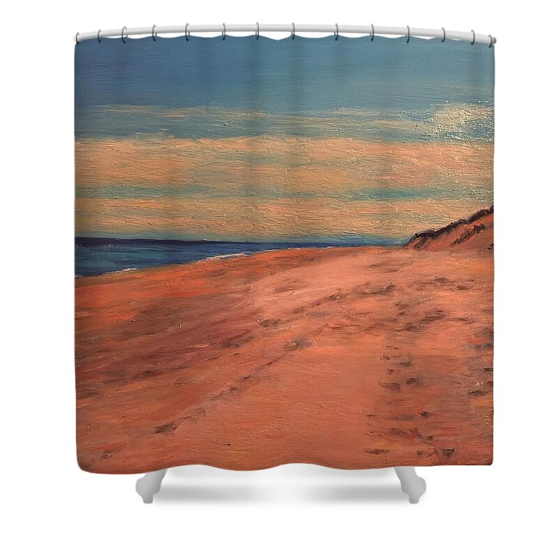 Cape Cod Beach Wellfleet Dune Shower Curtain featuring the painting Lecount Halliow Beach by Beth Riso