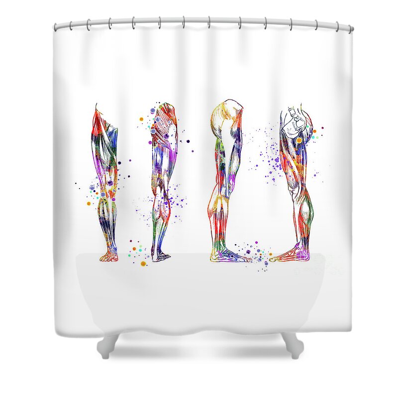 Muscles Shower Curtain featuring the digital art Leg Muscles Watercolor Anatomy Gift by White Lotus
