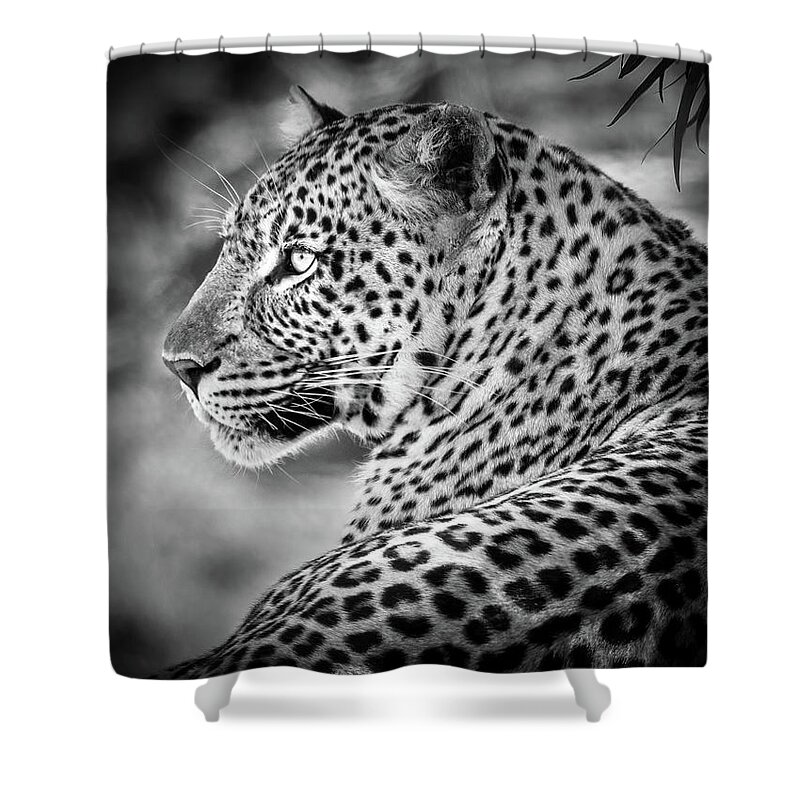 Africa Shower Curtain featuring the photograph Leopard by James Capo
