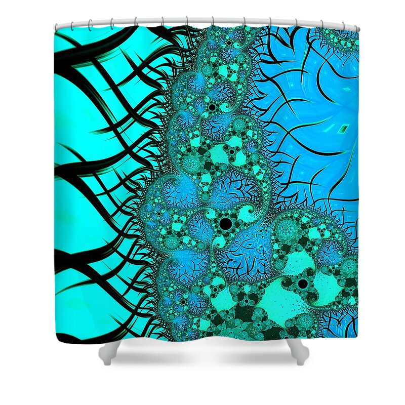 Fractal Shower Curtain featuring the digital art Let it Go #2 by Mary Ann Benoit