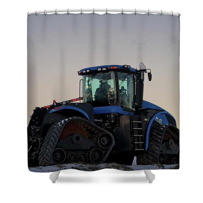 Snowy Owl Shower Curtain featuring the photograph Lets go for a ride by Steve L'Italien