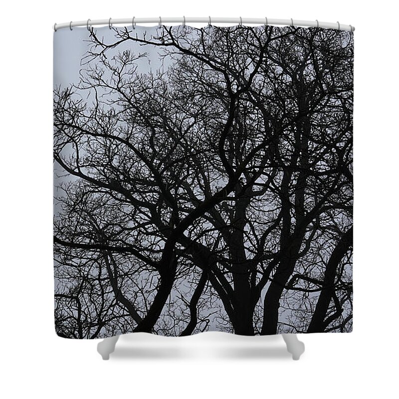 Black And White Shower Curtain featuring the photograph Let's Tango by fototaker Tony