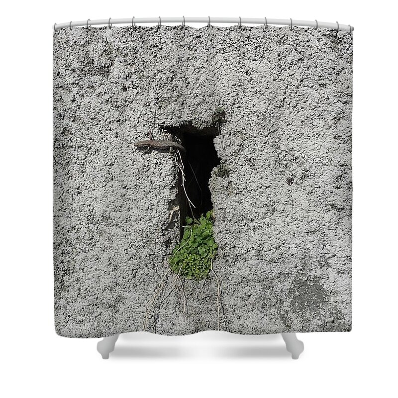Grey Shower Curtain featuring the photograph Lezard by Joelle Philibert