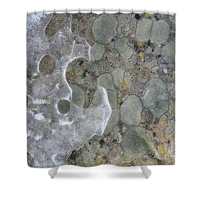 Lichen Shower Curtain featuring the photograph Lichen and Ice by Nicola Finch