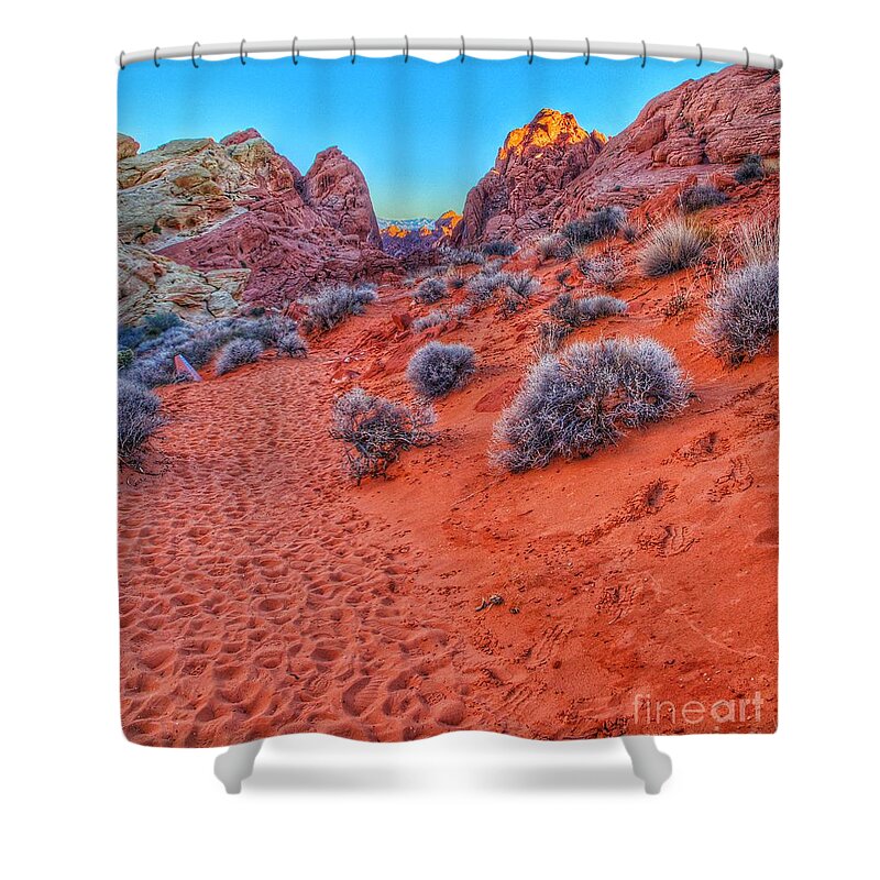  Shower Curtain featuring the photograph Life on Mars 1 by Rodney Lee Williams