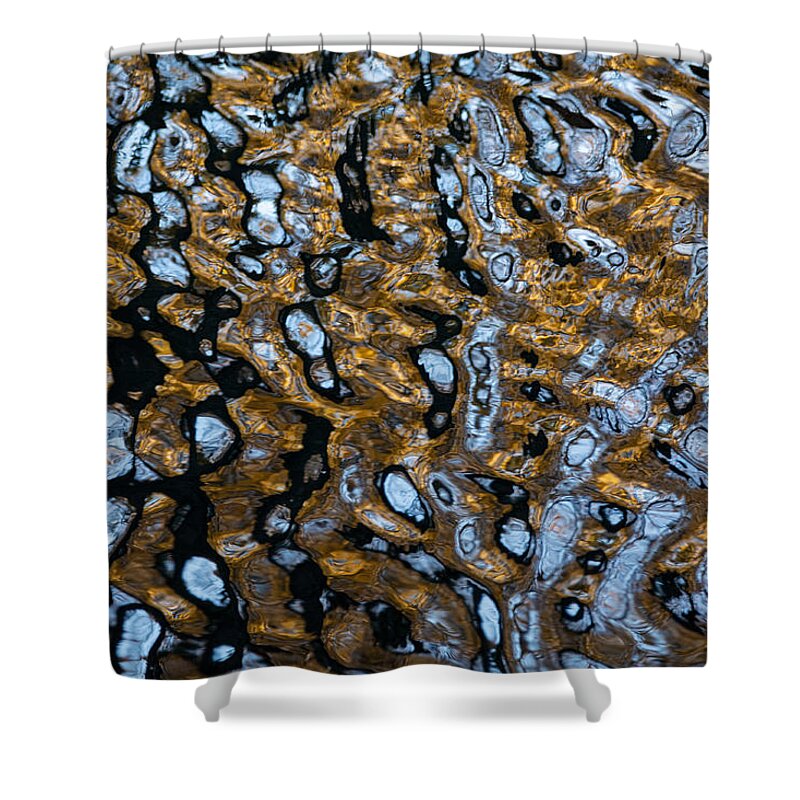Water Shower Curtain featuring the photograph Life Size Microscope by Linda Bonaccorsi