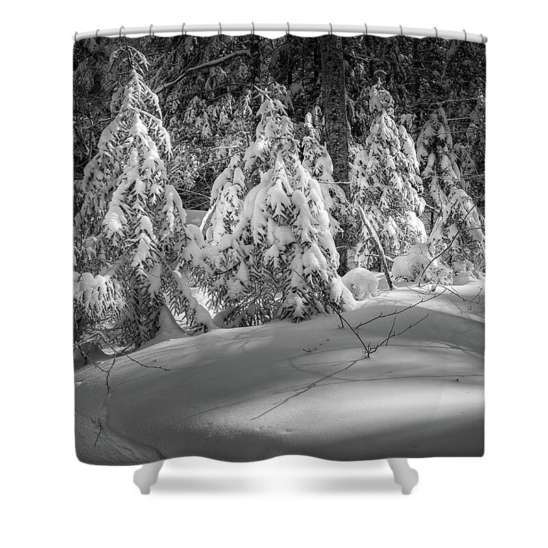New Hampshire Shower Curtain featuring the photograph Light In The Winter Wood by Jeff Sinon