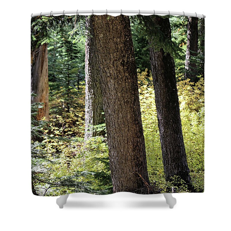 Cascades Shower Curtain featuring the photograph Light shadow Cascades by Cathy Anderson