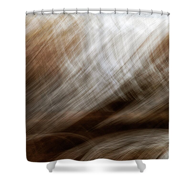 Forest Shower Curtain featuring the photograph Light Streams by Art Cole