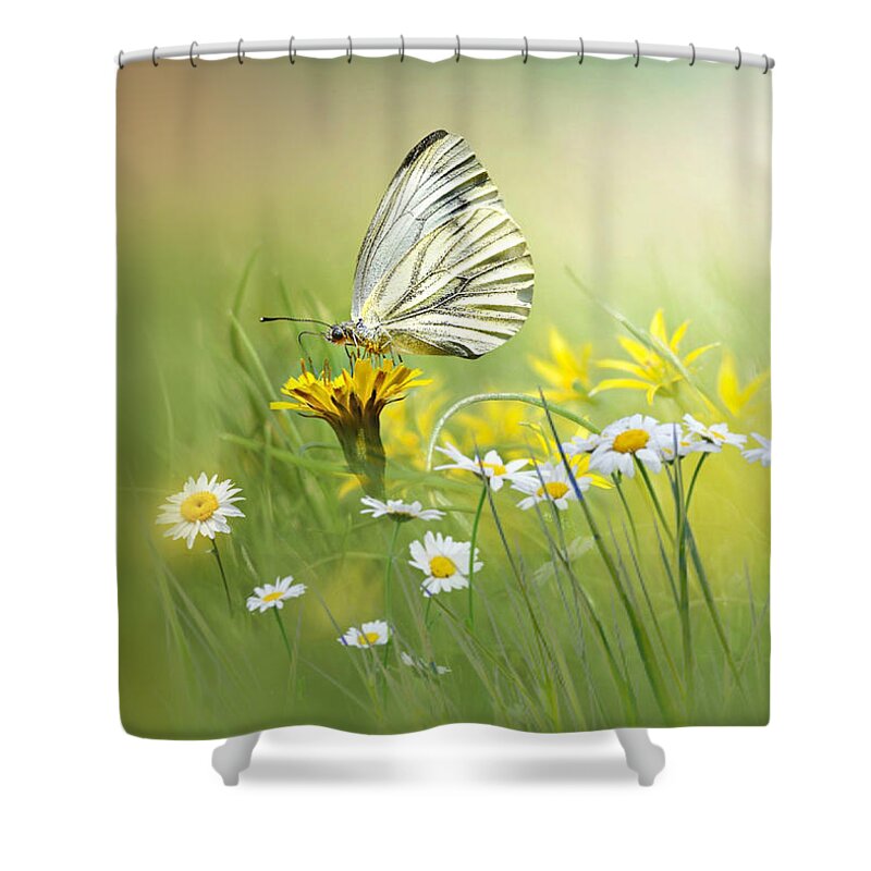 White Butterfly Shower Curtain featuring the mixed media Light Wings by Morag Bates