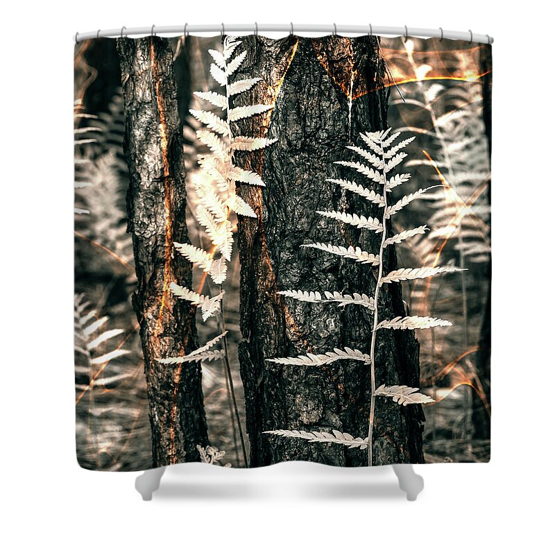  Shower Curtain featuring the photograph Lightning storm by Maresa Pryor-Luzier