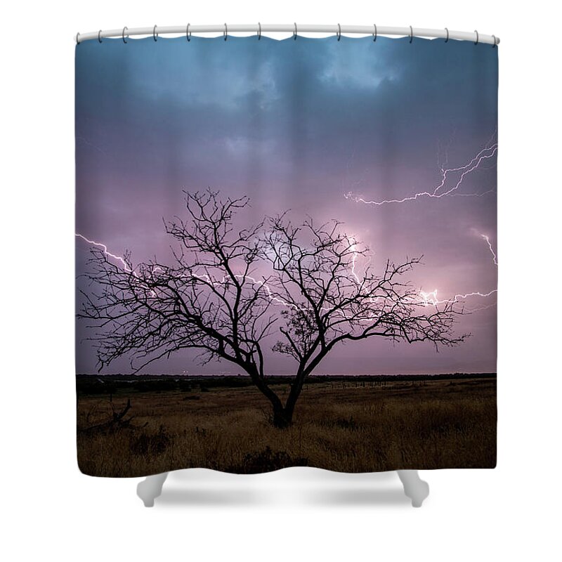 Storm Shower Curtain featuring the photograph Lightning Tree by Wesley Aston