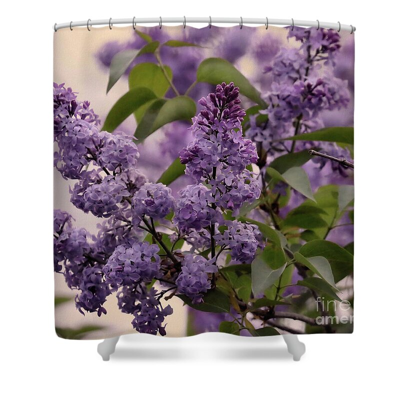 Lilac Shower Curtain featuring the photograph Lilacs at Dusk by Sandra Huston