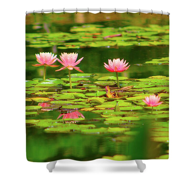 Water Shower Curtain featuring the photograph Lilly on the Lake by Marcus Jones