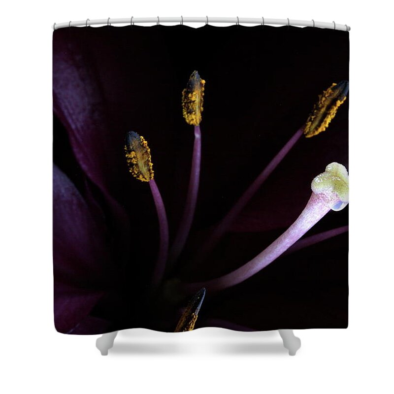 Botanica Shower Curtain featuring the photograph Lily 3684 by Julie Powell