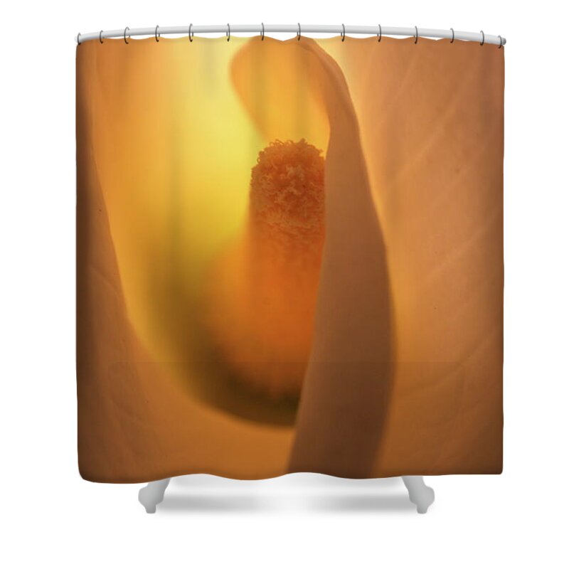Macro Shower Curtain featuring the photograph Lily 5615 by Julie Powell