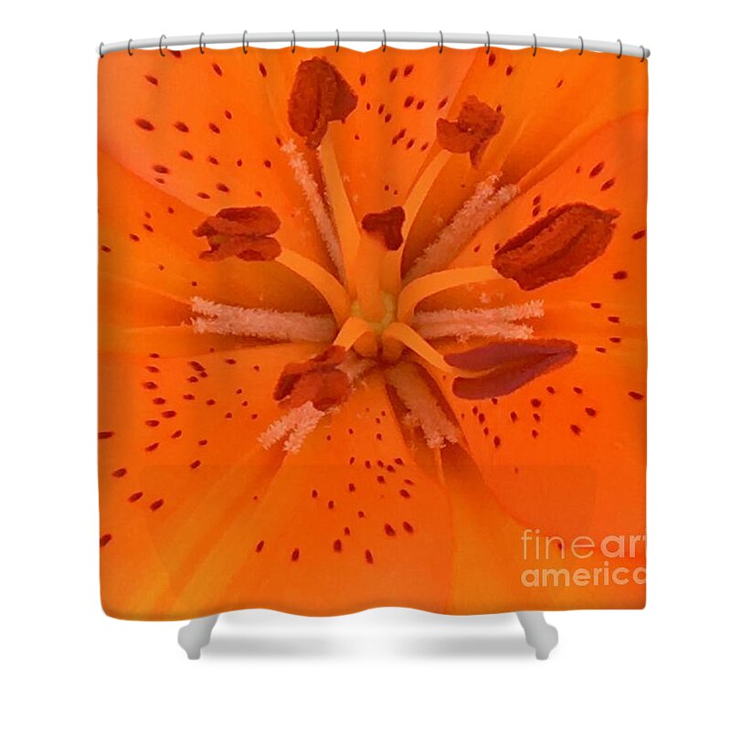 Lily Flower Shower Curtain featuring the photograph Lily Closeup by Carmen Lam